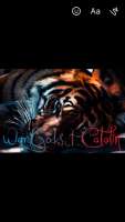 WarGods | Catalin's Avatar